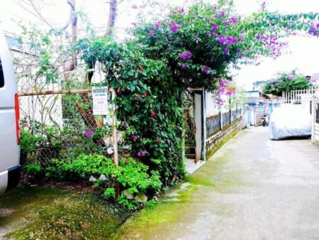 Nhà Cấp 4 Hẻm Ô Tô Nhỏ Nguyễn Du, Phường 10, Đà Lạt mặt tiền rộng 15m