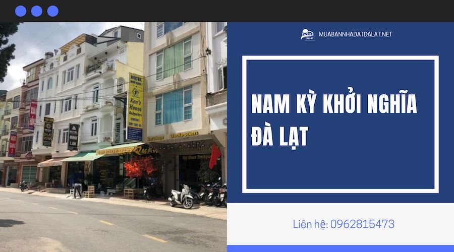 Đường Nam Kỳ Khởi Nghĩa – Tiềm Năng Nhà Đất và Bất Động Sản tại Đà Lạt