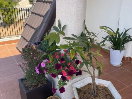 Villa 4 Tầng Hẻm Ô Tô Lớn Trịnh Hoài Đức, Phường 11, Đà Lạt 8 Phòng KD