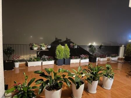 Villa 4 Tầng Hẻm Ô Tô Lớn Trịnh Hoài Đức, Phường 11, Đà Lạt 8 Phòng KD