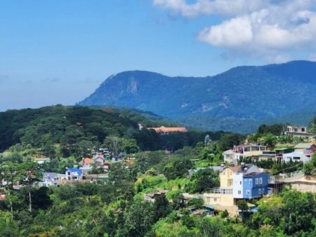 Đất Hẻm Ô Tô Nhỏ Hoàng Hoa Thám, P10, Đà Lạt lô đất rộng 12.43m x 16.10m