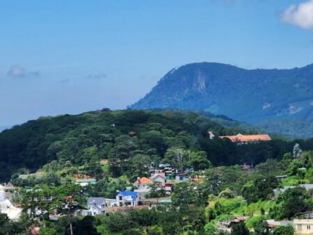 Đất Hẻm Ô Tô Nhỏ Hoàng Hoa Thám, P10, Đà Lạt lô đất rộng 12.43m x 16.10m