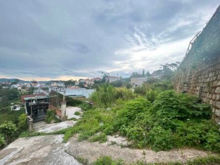 Đất Hẻm Ô Tô Nhỏ Hoàng Hoa Thám, P10, Đà Lạt lô đất rộng 12.43m x 16.10m