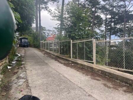 Đất Hẻm Ô Tô Nhỏ Hoàng Hoa Thám, P10, Đà Lạt lô đất rộng 12.43m x 16.10m