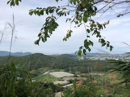 Đất nông nghiệp hẻm ô tô lớn Hùng Vương, P11, Đà Lạt, view vĩnh viễn