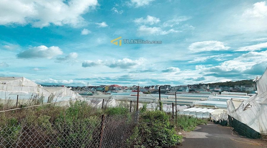 Đất biệt thự Hẻm Ô Tô Lớn Thái Phiên, Phường 12, Đà Lạt bề ngang rộng 11m Đất biệt thự Hẻm Ô Tô Lớn Thái Phiên, Phường 12, Đà Lạt bề ngang rộng 11m