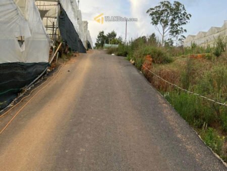 Đất biệt thự Hẻm Ô Tô Lớn Thái Phiên, Phường 12, Đà Lạt bề ngang rộng 11m