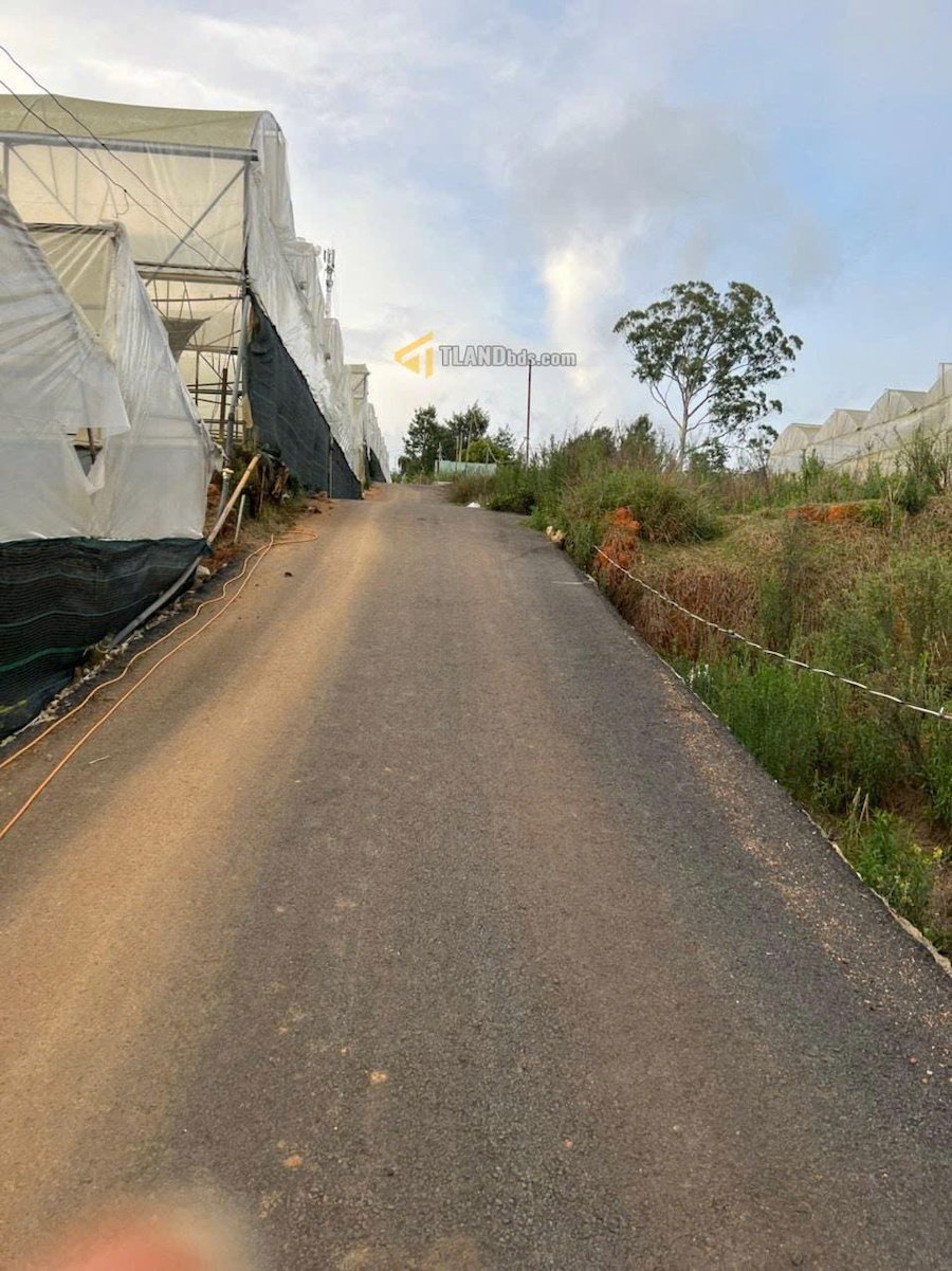 Đất biệt thự Hẻm Ô Tô Lớn Thái Phiên, Phường 12, Đà Lạt bề ngang rộng 11m Đất biệt thự Hẻm Ô Tô Lớn Thái Phiên, Phường 12, Đà Lạt bề ngang rộng 11m