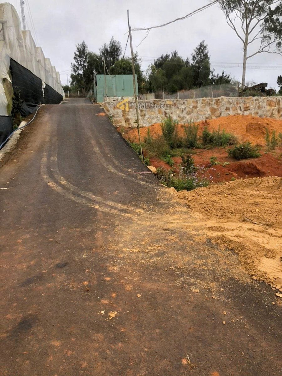 Đất biệt thự Hẻm Ô Tô Lớn Thái Phiên, Phường 12, Đà Lạt bề ngang rộng 11m Đất biệt thự Hẻm Ô Tô Lớn Thái Phiên, Phường 12, Đà Lạt bề ngang rộng 11m