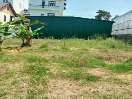 Đất mặt tiền Trần Đại Nghĩa P8, 11x22m, sổ riêng không quy hoạch