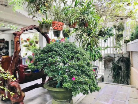 Villa 4 tầng hai mặt tiền Yên Thế, P10, Đà Lạt, 16.5m x 14.7m