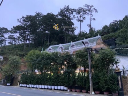 Villa 3 tầng mặt tiền Khe Sanh, P10, Đà Lạt, Mặt tiền rộng 80m
