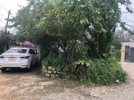 Nhà cấp 4 hai mặt tiền Lý Nam Đế, P8, Đà Lạt, mặt tiền rộng 5m