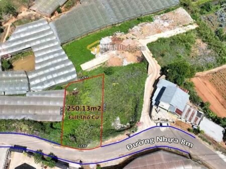 Đất hẻm ô tô lớn Huỳnh Tấn Phát, P11, Đà Lạt mặt tiền ngang 12m