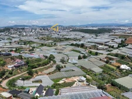 Đất hẻm ô tô lớn Huỳnh Tấn Phát, P11, Đà Lạt mặt tiền ngang 12m