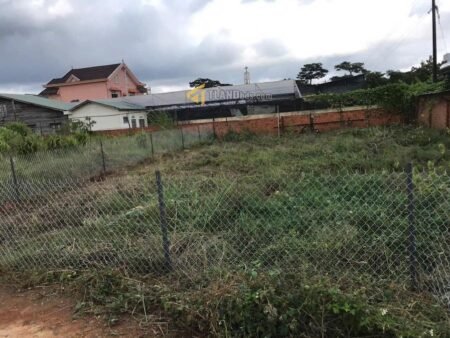 Đất hẻm ô tô lớn Ngô Tất Tố, P8, Đà Lạt mặt tiền rộng 13m