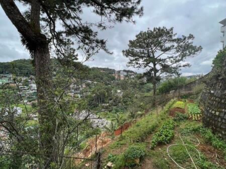 Bán đất nhà phố mặt tiền Đặng Thái Thân, P3, Đà Lạt, mặt tiền rộng 40.5m