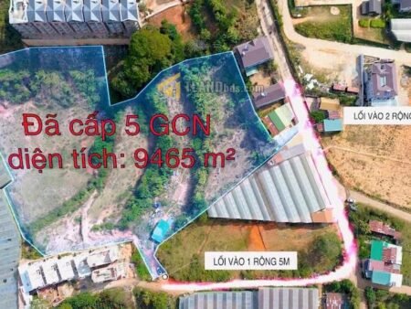 Đất hẻm oto đường Măng lin Phường 7 Đà Lạt diện tích khủng 9465m2