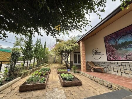 Nhà cấp 4 hẻm ô tô lớn An Bình, P3, Đà Lạt, 14.82m x 14.5m