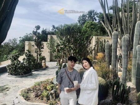 Đất mặt tiền đang kinh doanh cafe Hoàng Hoa Thám, P10, đất rộng 18m x 109m