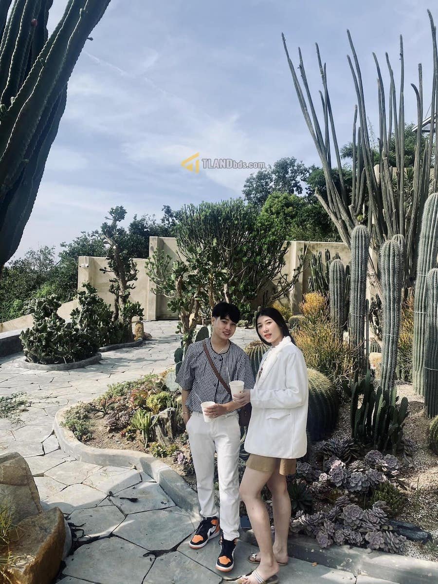 Đất mặt tiền đang kinh doanh cafe Hoàng Hoa Thám, P10, đất rộng 18m x 109m Đất mặt tiền đang kinh doanh cafe Hoàng Hoa Thám, P10, đất rộng 18m x 109m