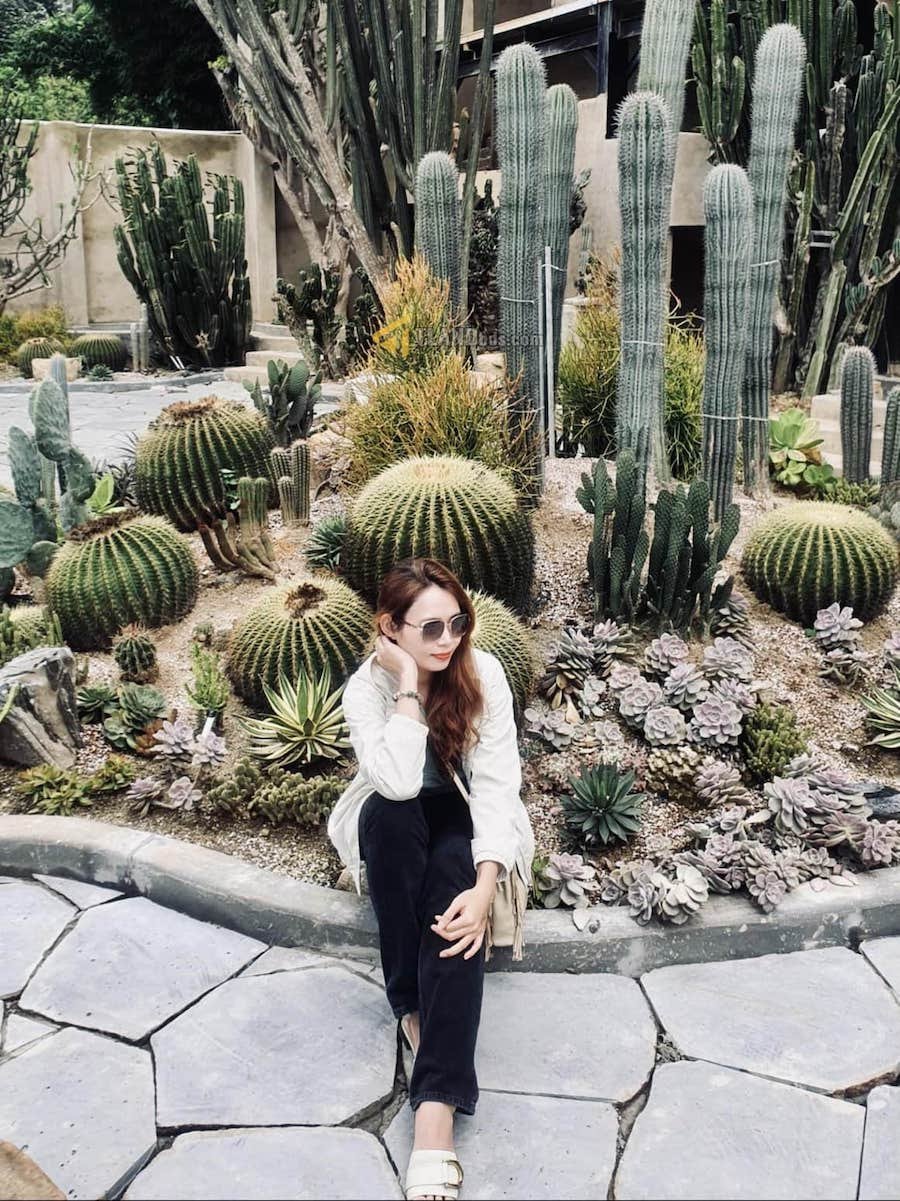 Đất mặt tiền đang kinh doanh cafe Hoàng Hoa Thám, P10, đất rộng 18m x 109m Đất mặt tiền đang kinh doanh cafe Hoàng Hoa Thám, P10, đất rộng 18m x 109m