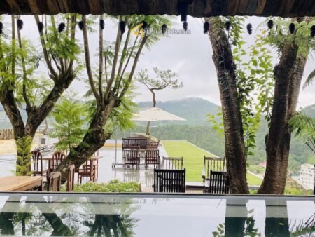 Đất mặt tiền đang kinh doanh cafe Hoàng Hoa Thám, P10, đất rộng 18m x 109m