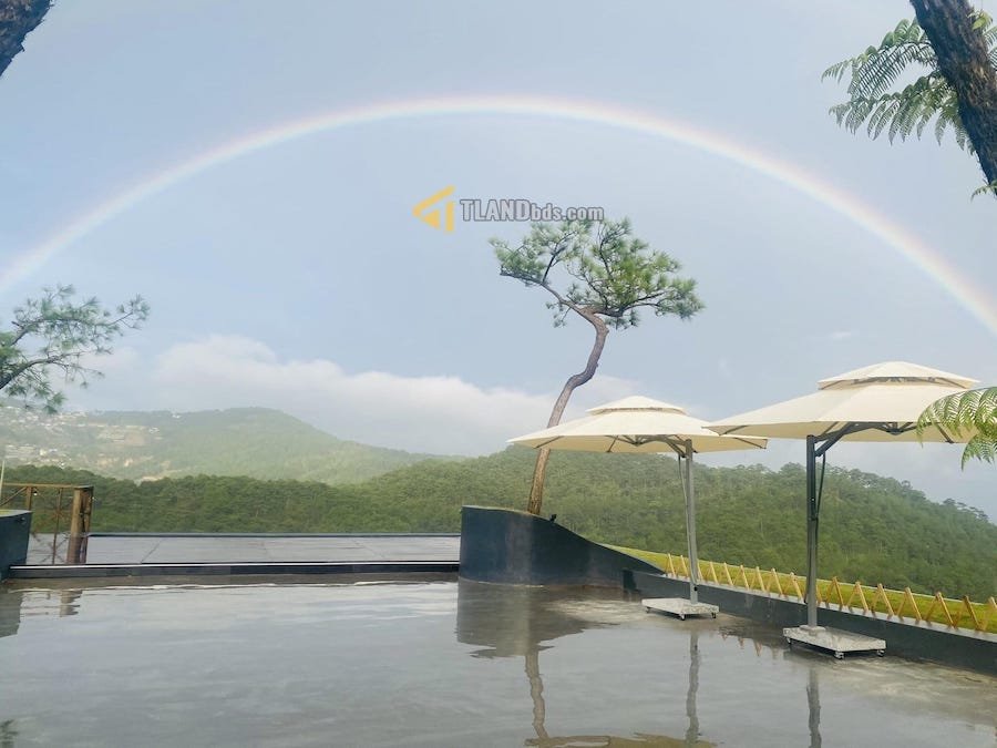 Đất mặt tiền đang kinh doanh cafe Hoàng Hoa Thám, P10, đất rộng 18m x 109m Đất mặt tiền đang kinh doanh cafe Hoàng Hoa Thám, P10, đất rộng 18m x 109m