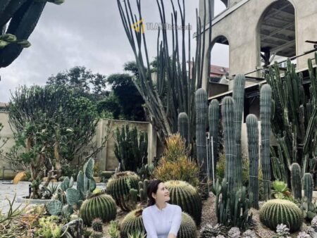 Đất mặt tiền đang kinh doanh cafe Hoàng Hoa Thám, P10, đất rộng 18m x 109m