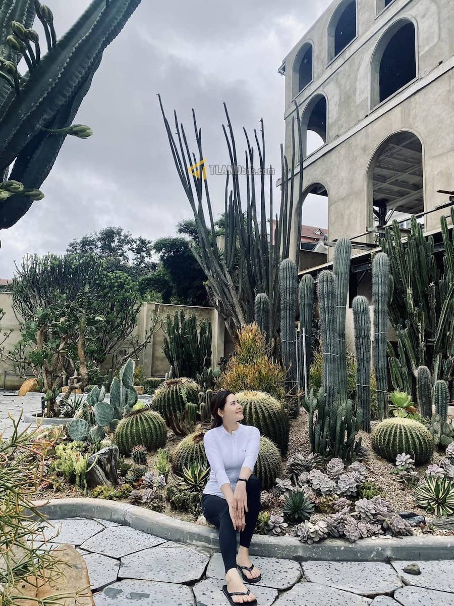 Đất mặt tiền đang kinh doanh cafe Hoàng Hoa Thám, P10, đất rộng 18m x 109m Đất mặt tiền đang kinh doanh cafe Hoàng Hoa Thám, P10, đất rộng 18m x 109m