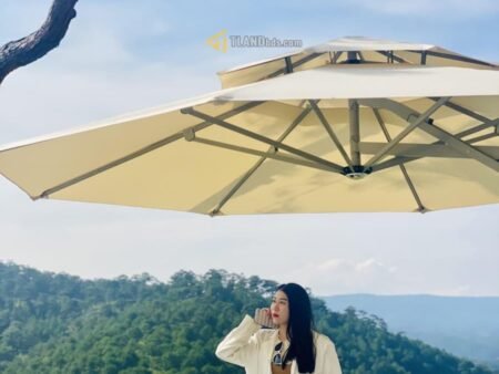 Đất mặt tiền đang kinh doanh cafe Hoàng Hoa Thám, P10, đất rộng 18m x 109m