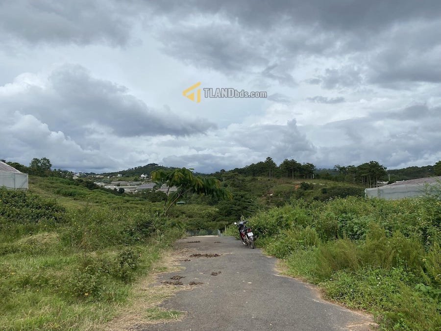 Đất hẻm ô tô lớn Măng Lin, P7, Đà Lạt, khuôn đất 13.2m x 15.1m Đất hẻm ô tô lớn Măng Lin, P7, Đà Lạt, khuôn đất 13.2m x 15.1m