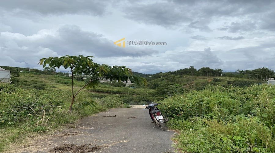 Đất hẻm ô tô lớn Măng Lin, P7, Đà Lạt, khuôn đất 13.2m x 15.1m Đất hẻm ô tô lớn Măng Lin, P7, Đà Lạt, khuôn đất 13.2m x 15.1m