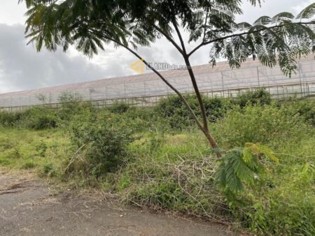 Đất hẻm ô tô lớn Măng Lin, P7, Đà Lạt, khuôn đất 13.2m x 15.1m