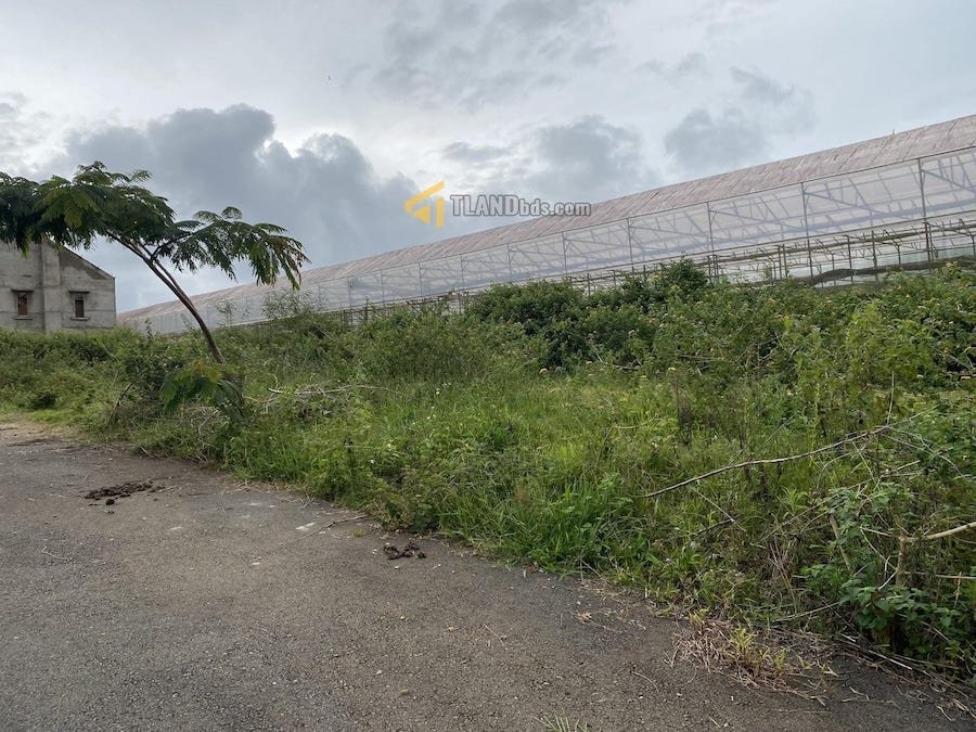 Đất hẻm ô tô lớn Măng Lin, P7, Đà Lạt, khuôn đất 13.2m x 15.1m Đất hẻm ô tô lớn Măng Lin, P7, Đà Lạt, khuôn đất 13.2m x 15.1m