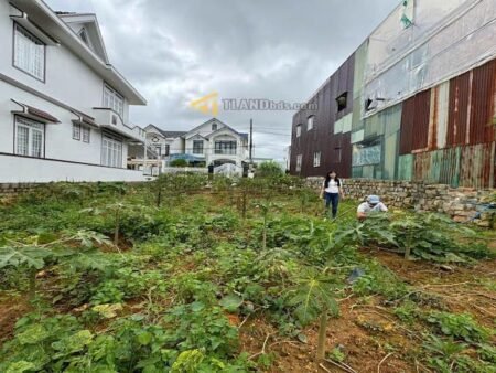 Đất hẻm ô tô lớn Mai Anh Đào, P8, Đà Lạt, Mặt tiền rộng 12m