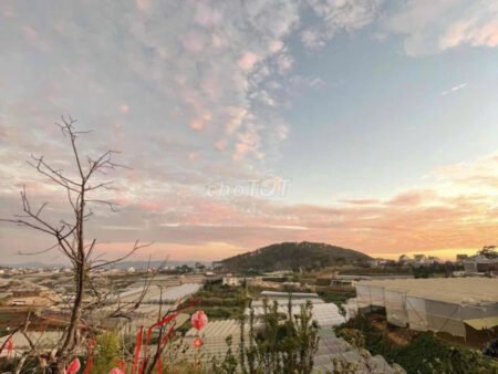 Homestay 5 tầng hẻm ô tô nhỏ Quốc Lộ 20, Xuân Thọ, Đà Lạt mặt tiền rộng 17m