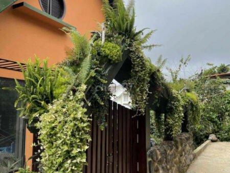 Homestay 5 tầng hẻm ô tô nhỏ Quốc Lộ 20, Xuân Thọ, Đà Lạt mặt tiền rộng 17m