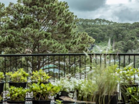 Villa 4 tầng hẻm ô tô lớn Trịnh Hoài Đức, P11, Đà Lạt, mặt tiền rộng 21.07m