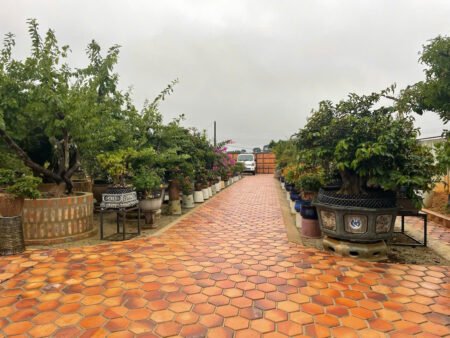 Homestay 2 tầng hẻm ô tô lớn Quốc Lộ 20, Xuân Thọ, Đà Lạt