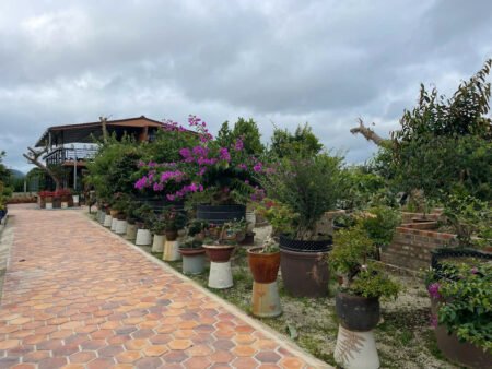 Homestay 2 tầng hẻm ô tô lớn Quốc Lộ 20, Xuân Thọ, Đà Lạt