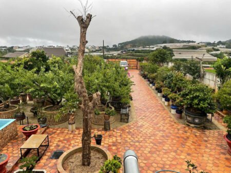 Homestay 2 tầng hẻm ô tô lớn Quốc Lộ 20, Xuân Thọ, Đà Lạt