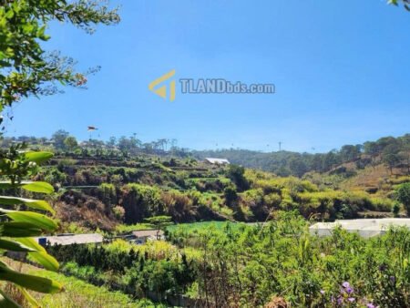 Villa 3 tầng mặt tiền An Bình, Phường 3, Đà Lạt mặt tiền ngang 12.25m