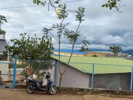 Đất và nhà cấp 4 hẻm ô tô lớn Tự Phước, P11, Đà Lạt, mặt tiền rộng 23m