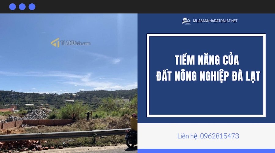 Đất Nông Nghiệp Đà Lạt