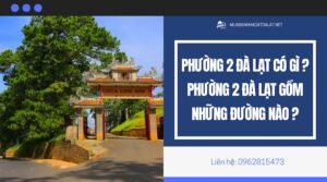 Phường 2 Đà Lạt có gì ? Phường 2 Đà Lạt gồm những đường nào ?