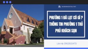 Phường 1 Đà Lạt có gì ? Thông tin Phường 1 thủ phủ khách sạn