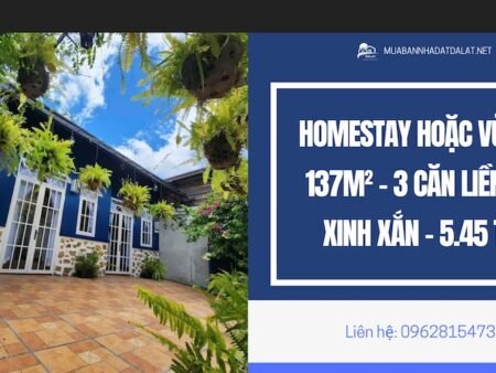 Homestay xinh xắn hẻm xe máy Đào Duy Từ P4 Đà Lạt - 137m2