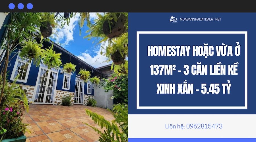 Homestay xinh xắn hẻm xe máy Đào Duy Từ P4 Đà Lạt - 137m2
