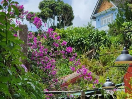 Homestay xinh xắn hẻm xe máy Đào Duy Từ P4 Đà Lạt - 137m2